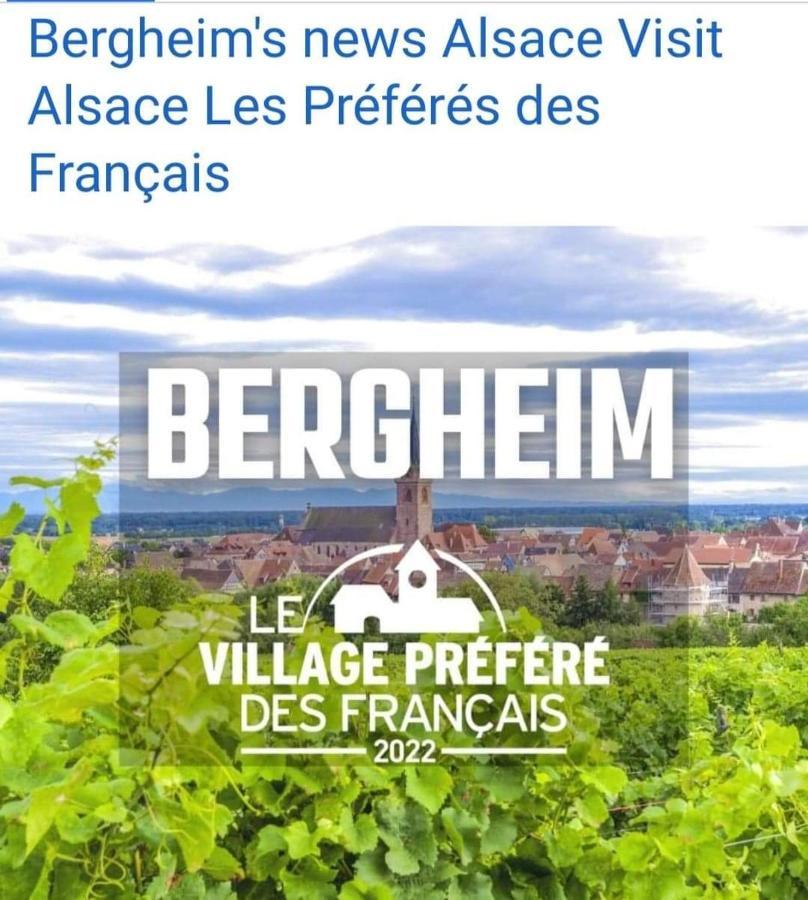 La Maison Des Tanneurs Ribeauville  Bagian luar foto