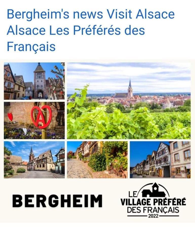 La Maison Des Tanneurs Ribeauville  Bagian luar foto