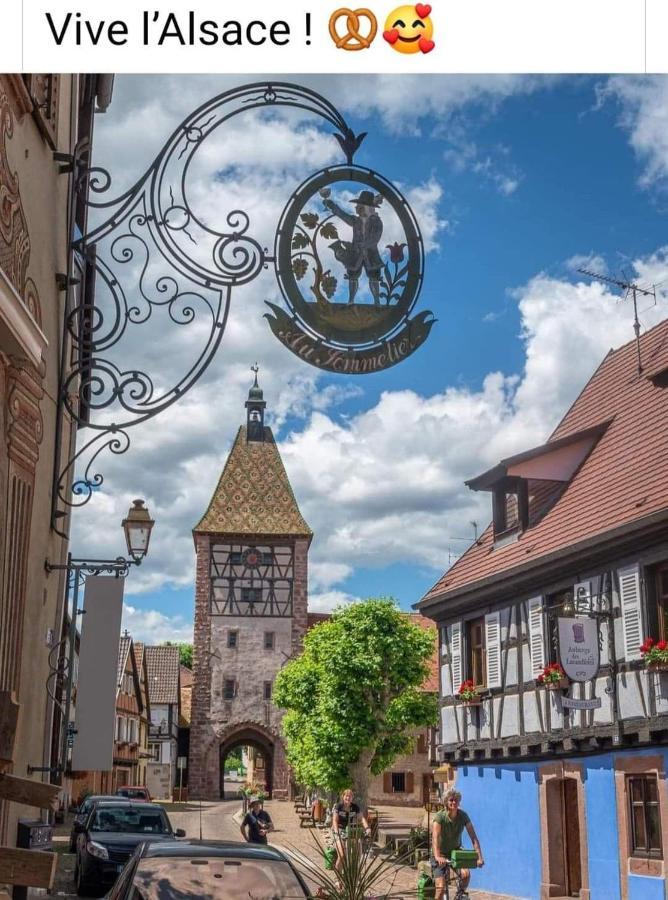 La Maison Des Tanneurs Ribeauville  Bagian luar foto