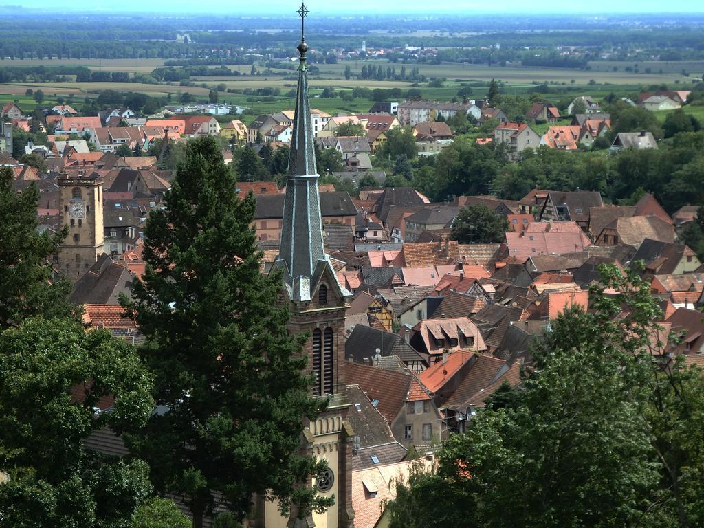 La Maison Des Tanneurs Ribeauville  Bagian luar foto