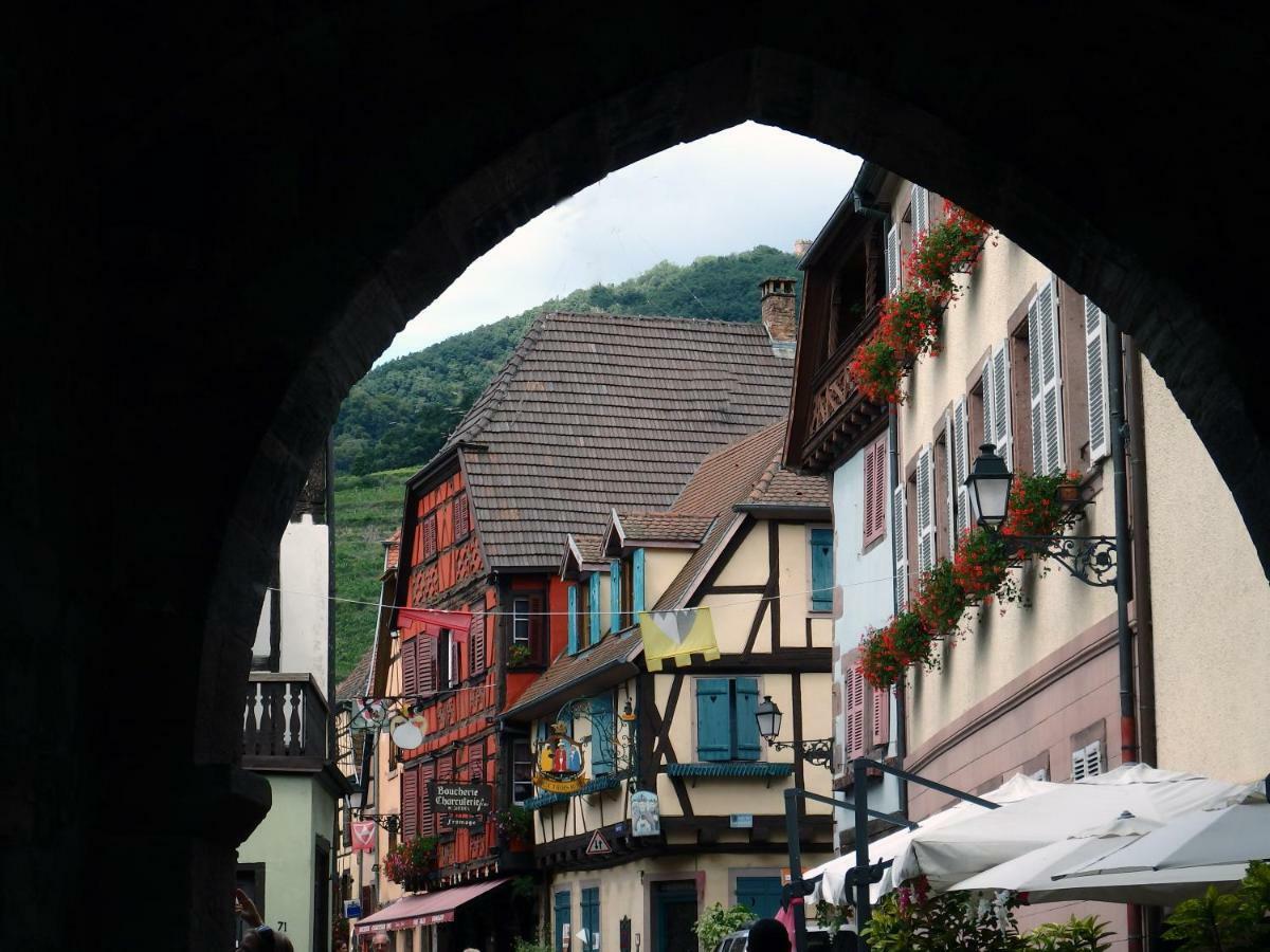 La Maison Des Tanneurs Ribeauville  Bagian luar foto
