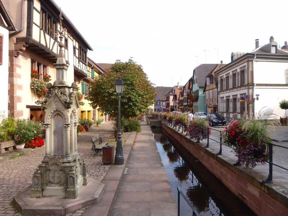 La Maison Des Tanneurs Ribeauville  Bagian luar foto