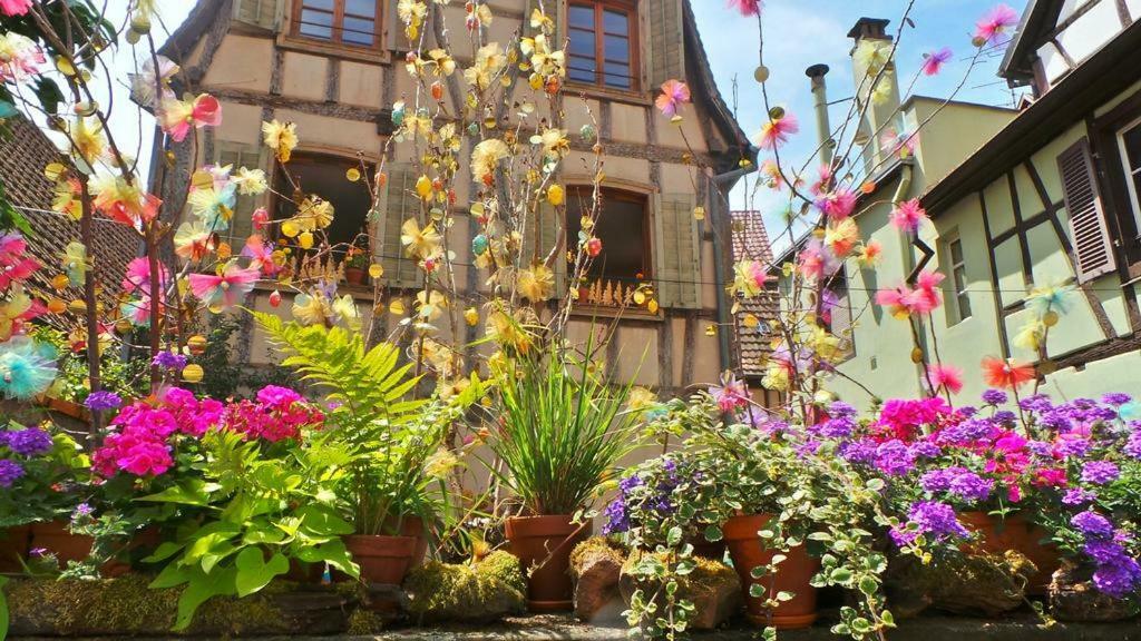 La Maison Des Tanneurs Ribeauville  Bagian luar foto