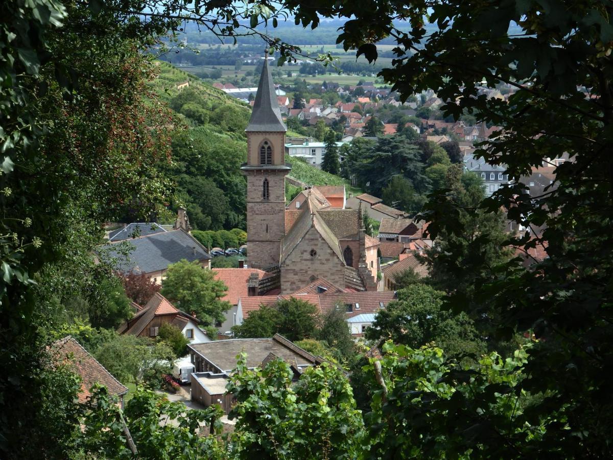La Maison Des Tanneurs Ribeauville  Bagian luar foto